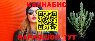 крисы Заводоуковск