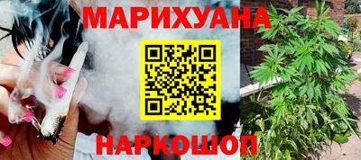 крисы Заводоуковск