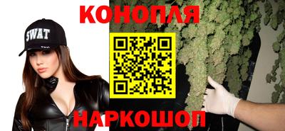 крисы Жуковский