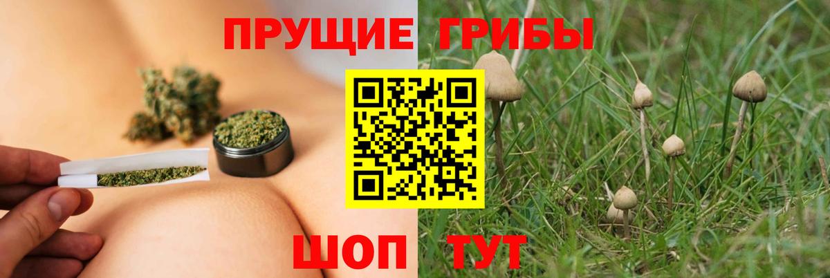 Псилоцибиновые грибы MAGIC MUSHROOMS Луховицы